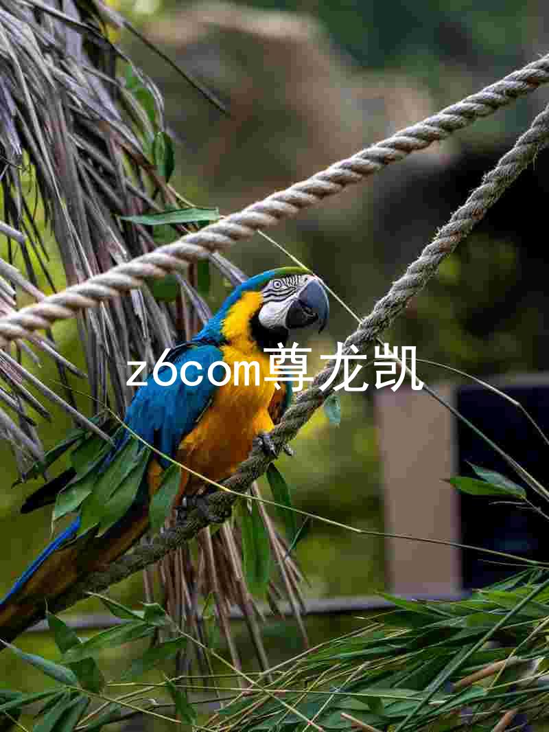 z6com尊龙凯