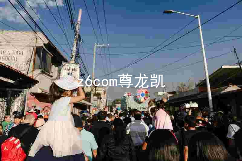 z6com尊龙凯